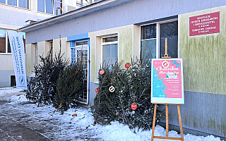 Leśnicy z akcją „Choinka dla Życia”. Krwiodawcy otrzymali świąteczne drzewka Leśnicy z akcją „Choinka dla Życia”. Krwiodawcy otrzymali świąteczne drzewka